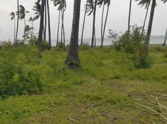 70 ACRES SANDY BEACHFRONT LAND,MSIMBATI-MTWARA