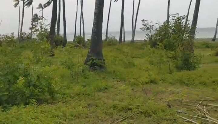 70 ACRES SANDY BEACHFRONT LAND,MSIMBATI-MTWARA