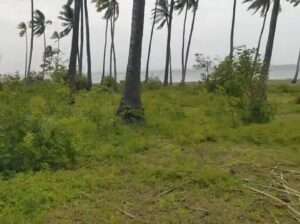 70 ACRES SANDY BEACHFRONT LAND,MSIMBATI-MTWARA