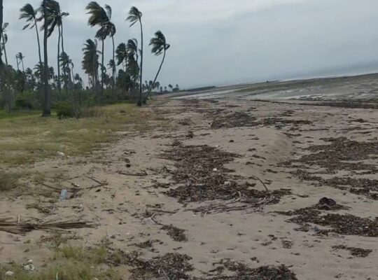 70 ACRES SANDY BEACHFRONT LAND,MSIMBATI-MTWARA