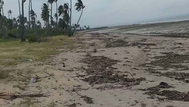 70 ACRES SANDY BEACHFRONT LAND,MSIMBATI-MTWARA