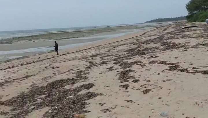 70 ACRES SANDY BEACHFRONT LAND,MSIMBATI-MTWARA