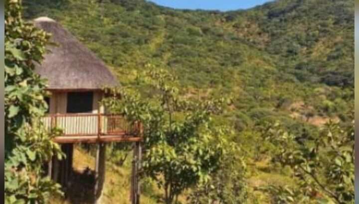 15-BED BUSH CAMP IN RUAHA-$2.5 MIL.INVESTMENT