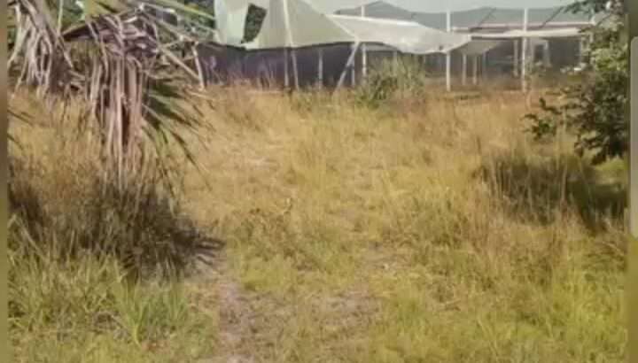 SHAMBA/ARDHI SAFI, EKA 120,MWANZEGA,MKURANGA.