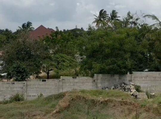 KIWANJA CHENYE HATI,SQM.750,TZS.100 MIL,MADALE.