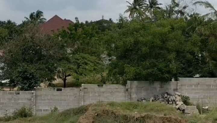 KIWANJA CHENYE HATI,SQM.750,TZS.100 MIL,MADALE.