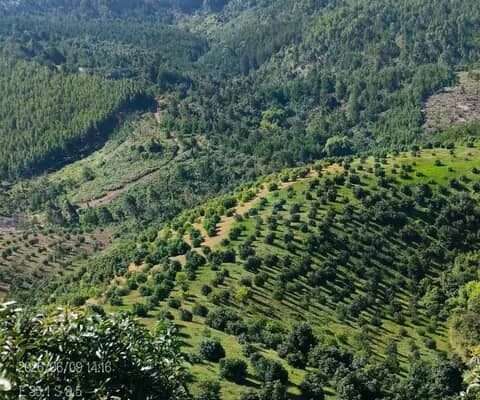 MASHAMBA YA KUMWAGILIA,TZS.400,000/EKA,MOROGORO