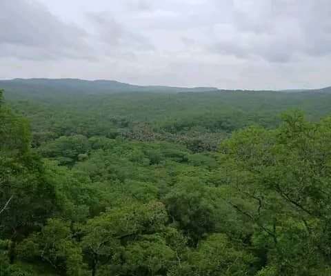 MASHAMBA YA KUMWAGILIA,TZS.400,000/EKA,MOROGORO