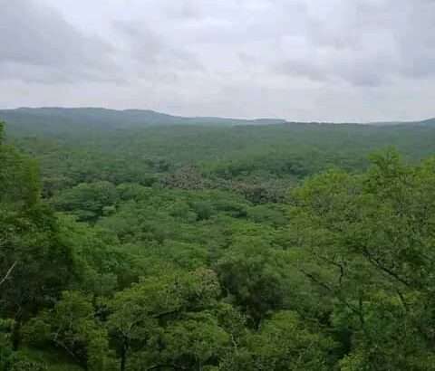 MASHAMBA YA KUMWAGILIA,TZS.400,000/EKA,MOROGORO