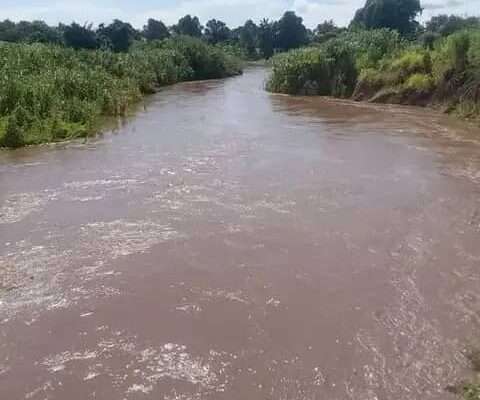 MASHAMBA YA KUMWAGILIA,TZS.400,000/EKA,MOROGORO
