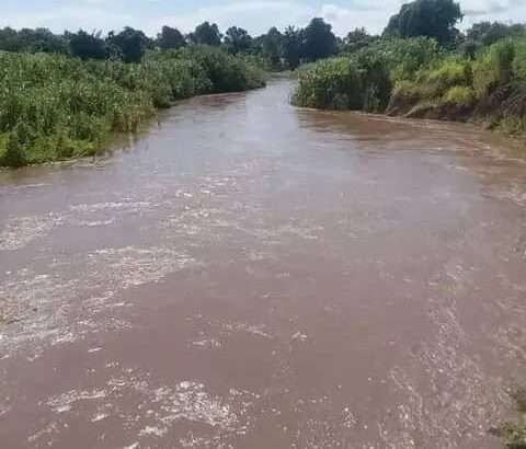 MASHAMBA YA KUMWAGILIA,TZS.400,000/EKA,MOROGORO