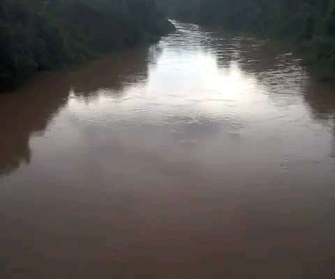 MASHAMBA YA KUMWAGILIA,TZS.400,000/EKA,MOROGORO