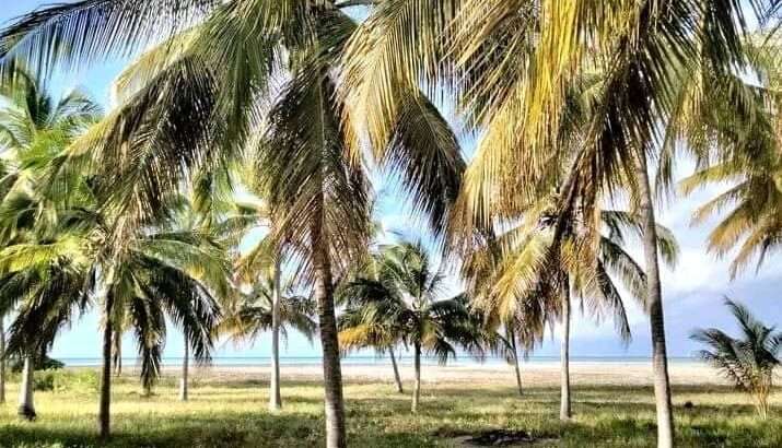 13 ACRES DEVELOPED BEACH CAMP AT KILWA