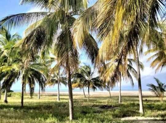 13 ACRES DEVELOPED BEACH CAMP AT KILWA