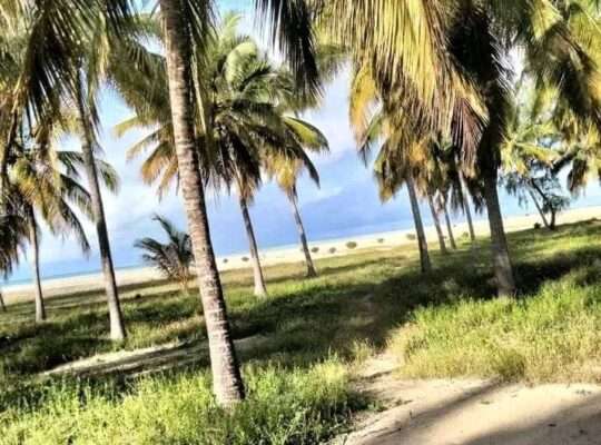 13 ACRES DEVELOPED BEACH CAMP AT KILWA