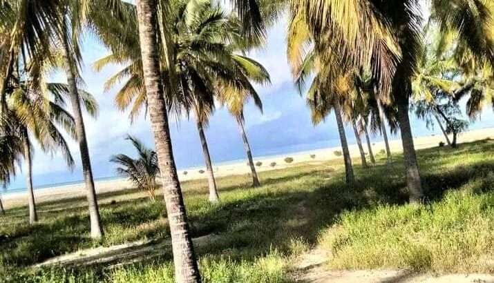 13 ACRES DEVELOPED BEACH CAMP AT KILWA