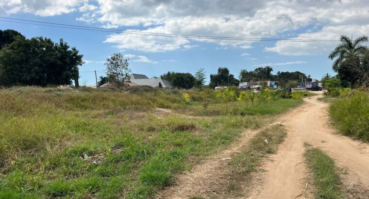4 ACRES INDUSTRIAL PLOT,TZS.1 BIL. AT MAPINGA.