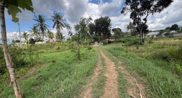4 ACRES INDUSTRIAL PLOT,TZS.1 BIL. AT MAPINGA.