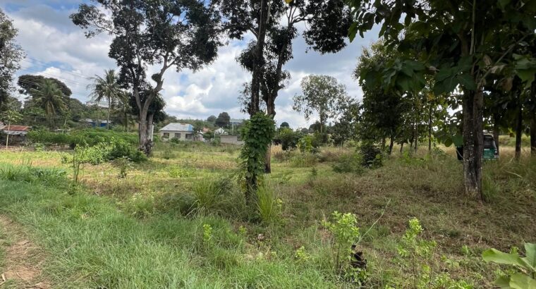 4 ACRES INDUSTRIAL PLOT,TZS.1 BIL. AT MAPINGA.