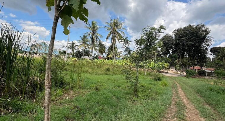4 ACRES INDUSTRIAL PLOT,TZS.1 BIL. AT MAPINGA.