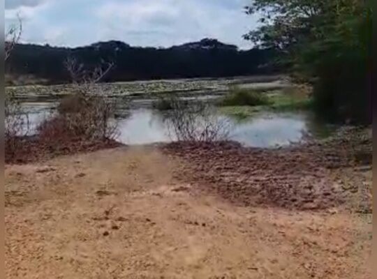 980 ACRES VIRGIN FARM,TZS.2 BIL, MIKESE-MOROGORO