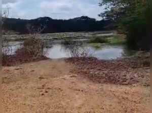 980 ACRES VIRGIN FARM,TZS.2 BIL, MIKESE-MOROGORO
