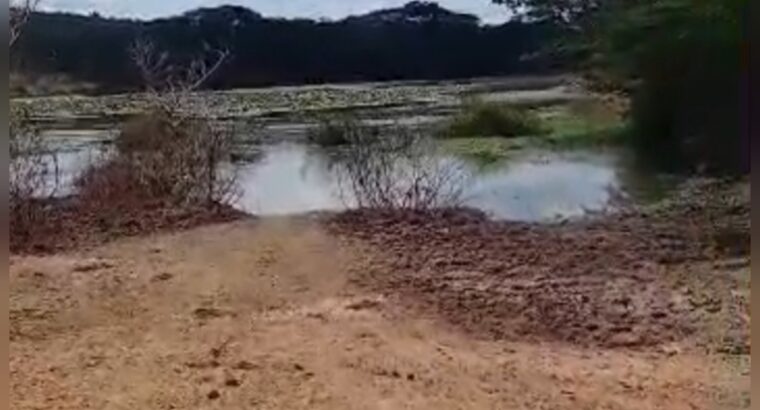 980 ACRES VIRGIN FARM,TZS.2 BIL, MIKESE-MOROGORO