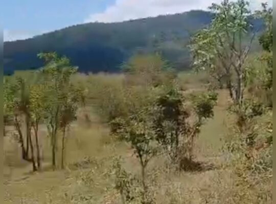 980 ACRES VIRGIN FARM,TZS.2 BIL, MIKESE-MOROGORO