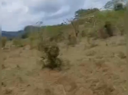 980 ACRES VIRGIN FARM,TZS.2 BIL, MIKESE-MOROGORO