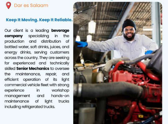 Senior Mechanics – Light Trucks