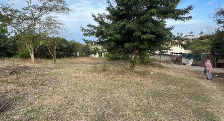 KIWANJA EKA 1( SQM.4,264),TZS.750, MBEZI-MASSANA