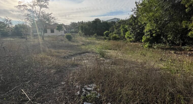 KIWANJA EKA 1( SQM.4,264),TZS.750, MBEZI-MASSANA