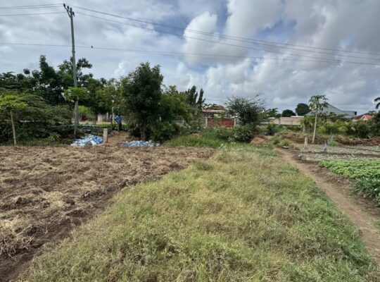 KIWANJA KIZURI SQM.3,200,TZS.800 MILIONI,UNUNIO.