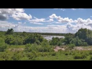 6,300 ACRES SISAL FARM,TZS.8 BIL, PANGANI,TANGA