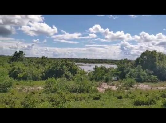 6,300 ACRES SISAL FARM,TZS.8 BIL, PANGANI,TANGA