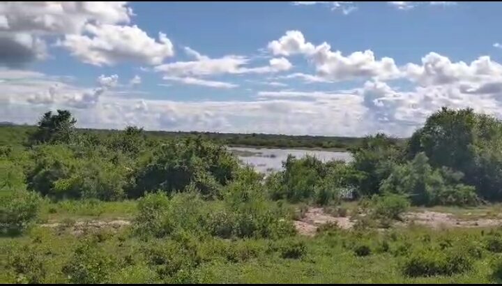 6,300 ACRES SISAL FARM,TZS.8 BIL, PANGAN...