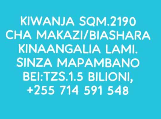 KIWANJA KIZURI SQM.2190,SINZA MAPAMBANO