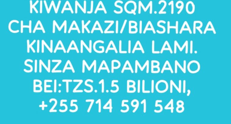 KIWANJA KIZURI SQM.2190,SINZA MAPAMBANO