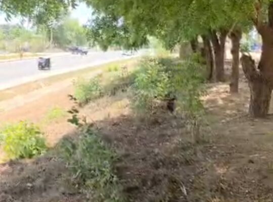 KIWANJA CHENYE HATI,SQM 3,000,TZS.500MIL,BUNJUB