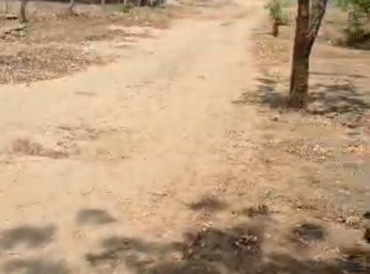 KIWANJA CHENYE HATI,SQM 3,000,TZS.500MIL,BUNJUB