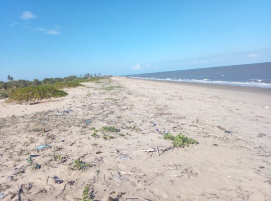 78 ACRES BEACH LOT, TZS.4.5 BIL,KITAME, BAGAMOYO