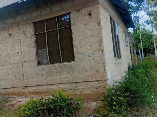 NYUMBA YAKUMALIZIA UJENZI,TZS.20 TU, MLANDIZI.
