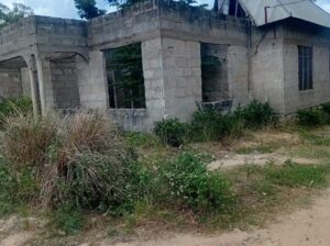 NYUMBA YAKUMALIZIA UJENZI,TZS.20 TU, MLANDIZI.