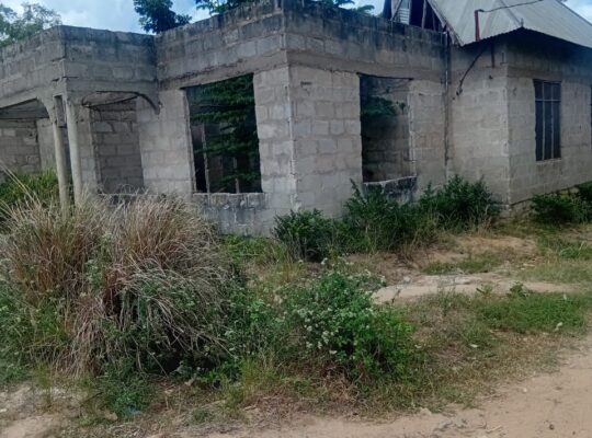 NYUMBA YAKUMALIZIA UJENZI,TZS.20 TU, MLANDIZI.