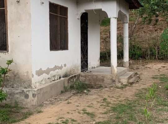 NYUMBA YA VYUMBA 3 INAUZWA TZS.30 MIL,KINYEREZI