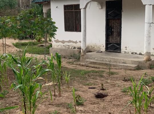 NYUMBA YA VYUMBA 3 INAUZWA TZS.30 MIL,KINYEREZI