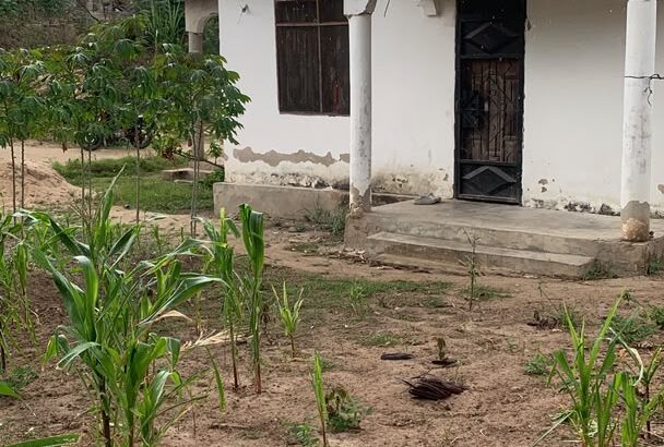 NYUMBA YA VYUMBA 3 INAUZWA TZS.30 MIL,KINYEREZI