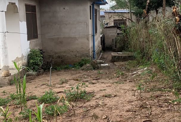 NYUMBA YA VYUMBA 3 INAUZWA TZS.30 MIL,KINYEREZI