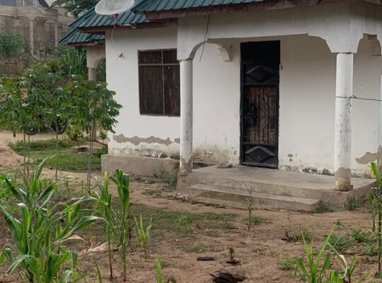 NYUMBA YA VYUMBA 3 INAUZWA TZS.30 MIL,KINYEREZI