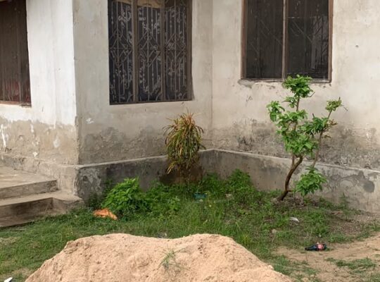 NYUMBA YA VYUMBA 3 INAUZWA TZS.30 MIL,KINYEREZI